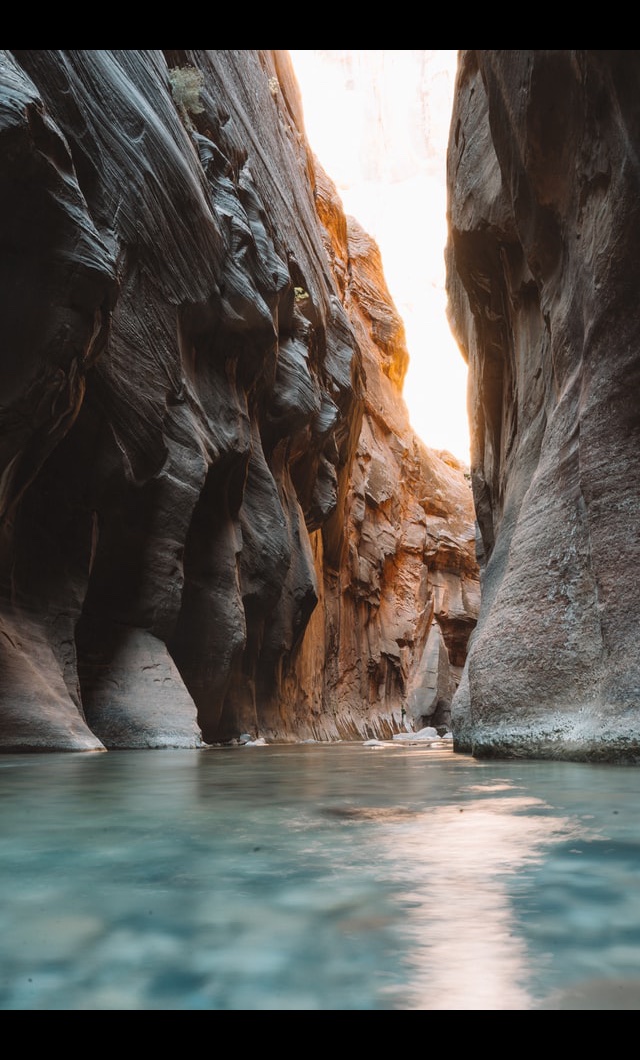 zion top and bottom borders